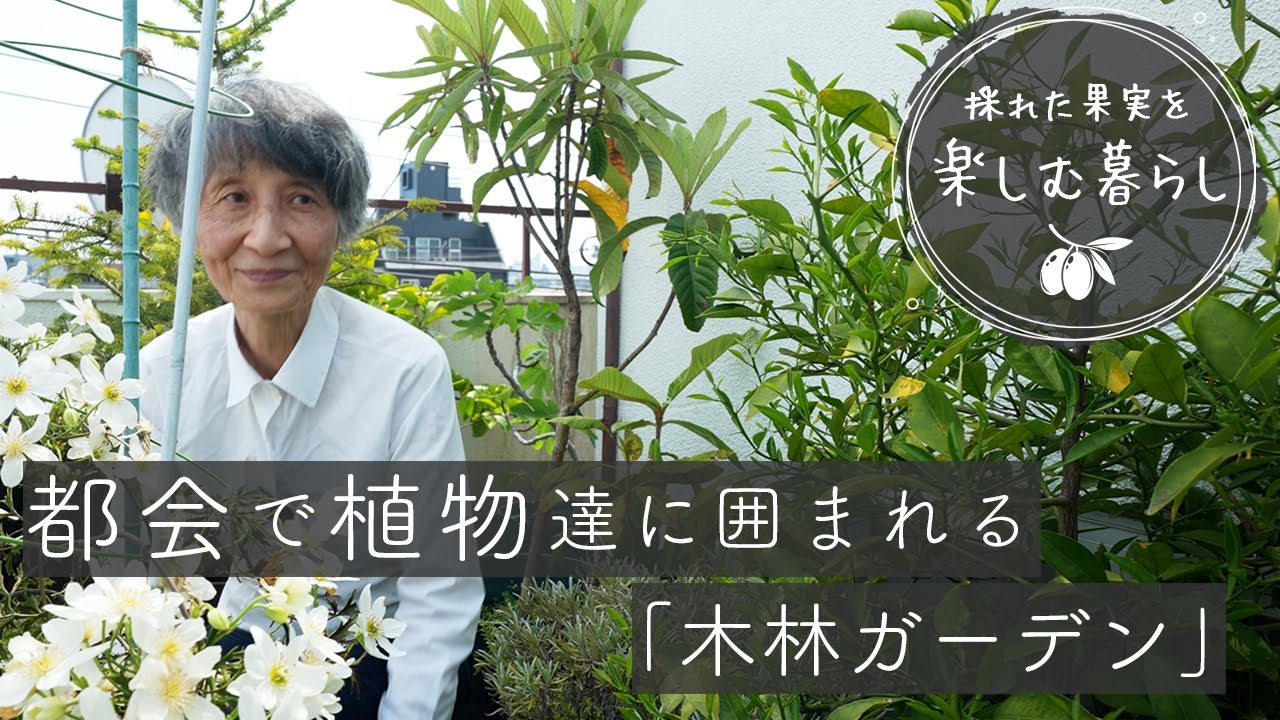 図書館館長のベランダガーデニング | 夫婦で営む小さな図書館の庭