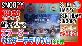 開封unboxing SNOOPY WEATHER TERRARIUM スヌーピーウェザーテラリウム
