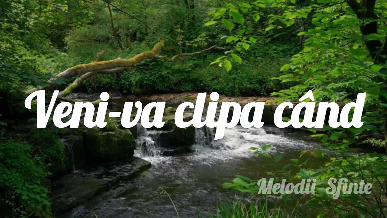 Când suferința va deveni recunoștință | Cântare Creștină