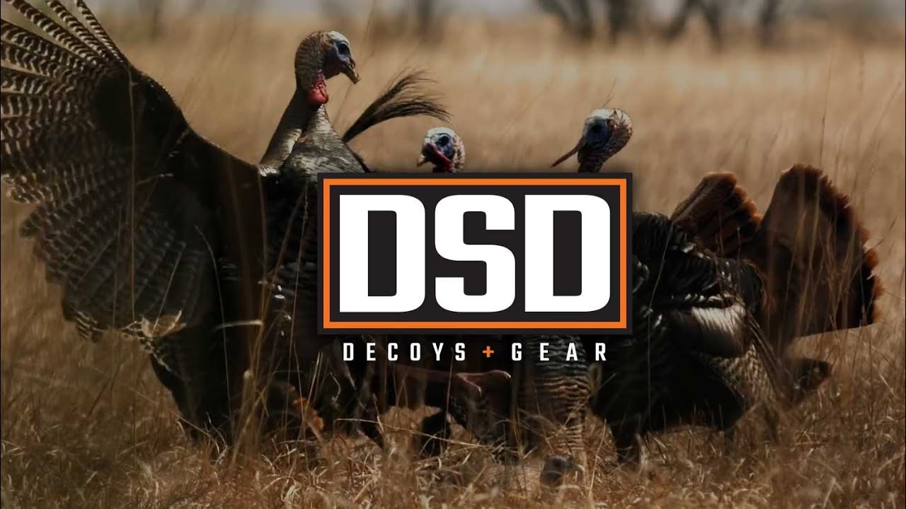 DSD Turkey Decoys YouTube