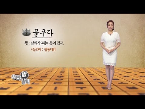 물쿠다 [06/23] / YTN 웨더앤라이프