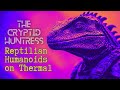 REPTILIANS GUARDING THE PALACE, SHAPESHIFTERS &amp; A MYSTERIOUS CREATURE IN MANCHESTER PARK