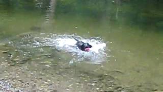 MVI_0751.AVI