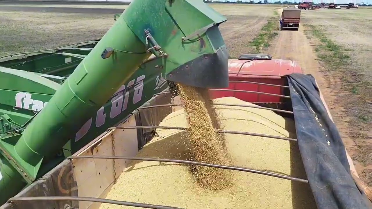 Vamos lá com mais uma carrada com o Scania 114 (cascudinho) Jeferson Belomi 