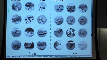 Going After Object Recognition Performance to Discover How the Ventral Stream Works