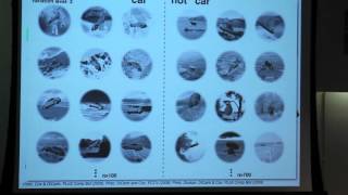 Going After Object Recognition Performance to Discover How the Ventral Stream Works Wealth