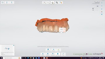 CUD Reference Denture Digital Scans