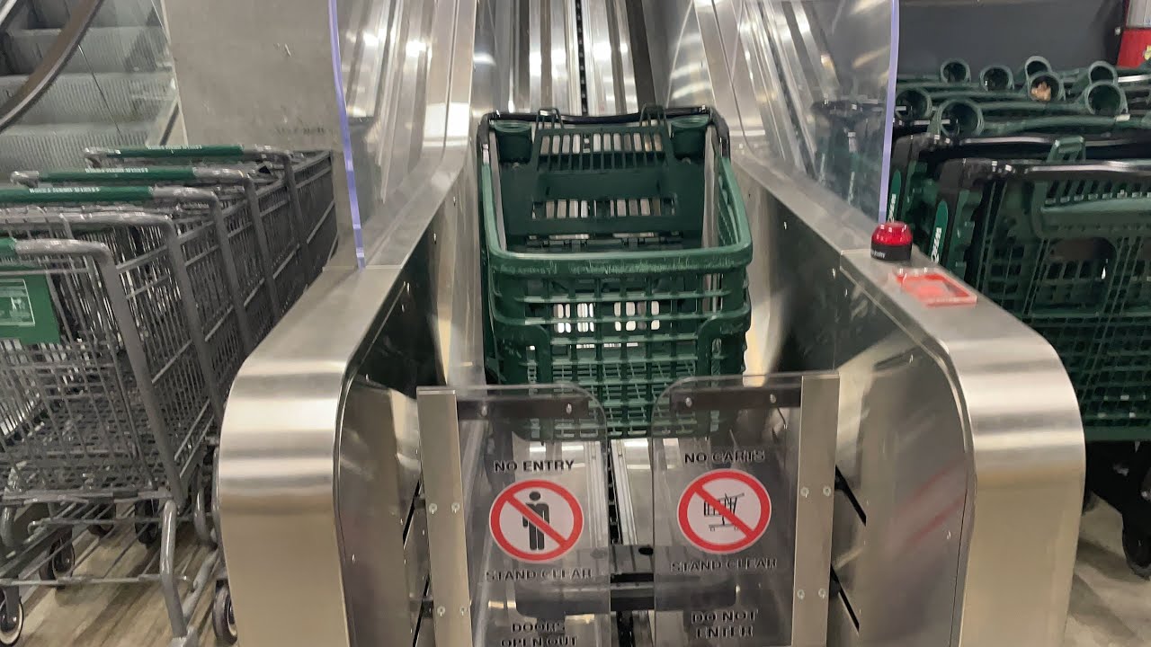 Taking a shopping cart down the shopping cart escalator at the Whole