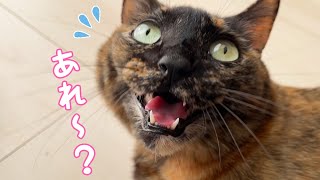 大好きなパパがいつもと何か違う…！