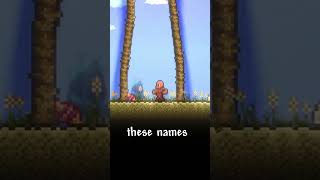 Secret Terraria Names Change Weapon Colors!