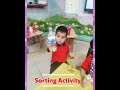Sorting Activity
