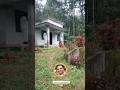 NEW HOUSE @18L #y #ytshorts #reels #malayalam #youtubeshorts #shortvideo #shorts #short #kerala #yt