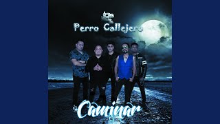 Video thumbnail of "Perro Callejero - Caminar"