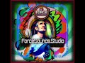 ForceSounds.Studio,  Instrumental, Playing, Bass, Piano, Feed Back Guitar and a Pluck Guitar.