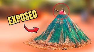 Download Lagu Real or Fake? What’s Behind Africa’s Mysterious Zangbeto Dance MP3