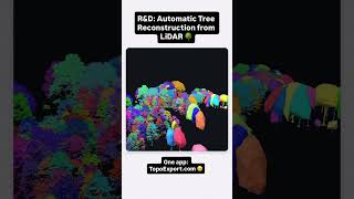 Automatic tree reconstruction from LiDAR | TopoExport R&D