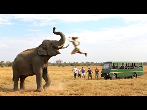 Incredible Safari Moments Caught On Camera 