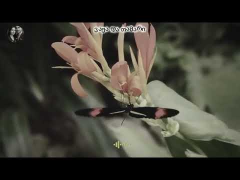 Vaja Da Tamari ვაჟა და თამარი