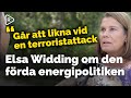 Elsa Widding riktar skarp kritik mot Miljöpartiet | Svensk energipolitik