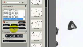 Leica LAS Image Analysis Auto Sequence