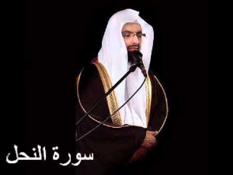 سورة النحل ناصر القطامي 
