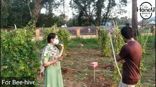 Download lagu A University supply ll- #thehoneyworld #honeyworld