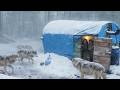 TRAPPED In A -40°F Blizzard: Wolves Surrounded My Off-Grid ABANDONED Mountain Cabin!