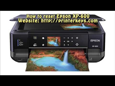 Reset Epson XP 600 Waste Ink Pad Counter