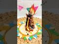 Mini Holika Dahan Craft ✨🔥 | Celebrate Holi with Family #holicraft #holiidea #holidecoration #shorts