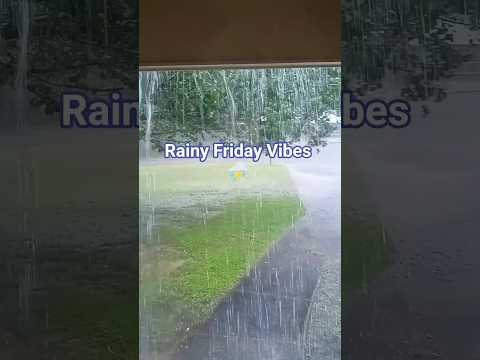 Nothing But Rain Today 🌧️