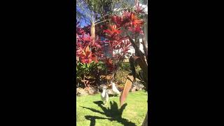 IMG 2634