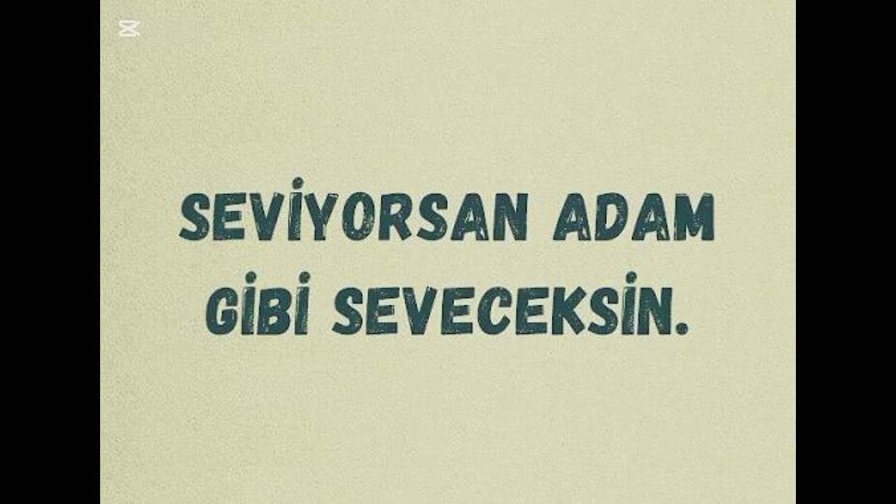 Adam gibi sevdim