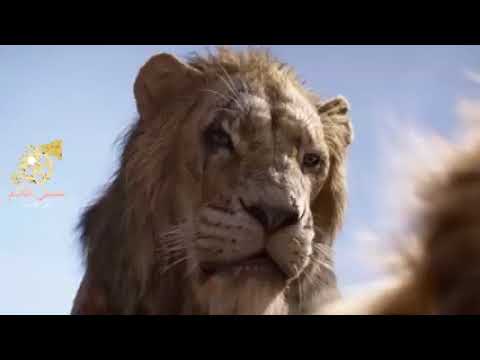 فلم السد يوميات اياد الهيبي