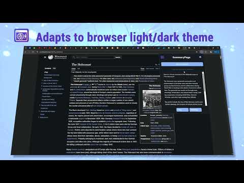 SummaryPage video preview 2