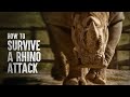 How to Survive a Rhino Attack