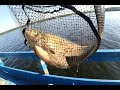 Рыбалка на фидер. Белоярское водохранилище 6 июня 2020 г.