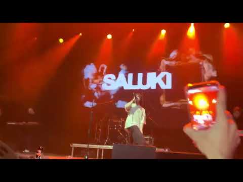 Saluki - Огней (Live) Москва 25.02.2023
