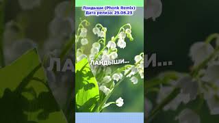 Ландыши (Phonk Remix) 25.08.2023