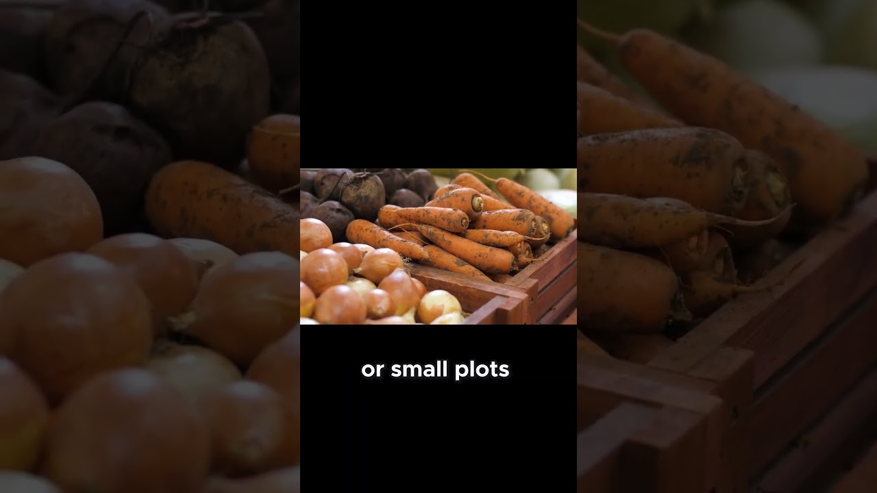 High Yield Veggies for Small Spaces! 🌱