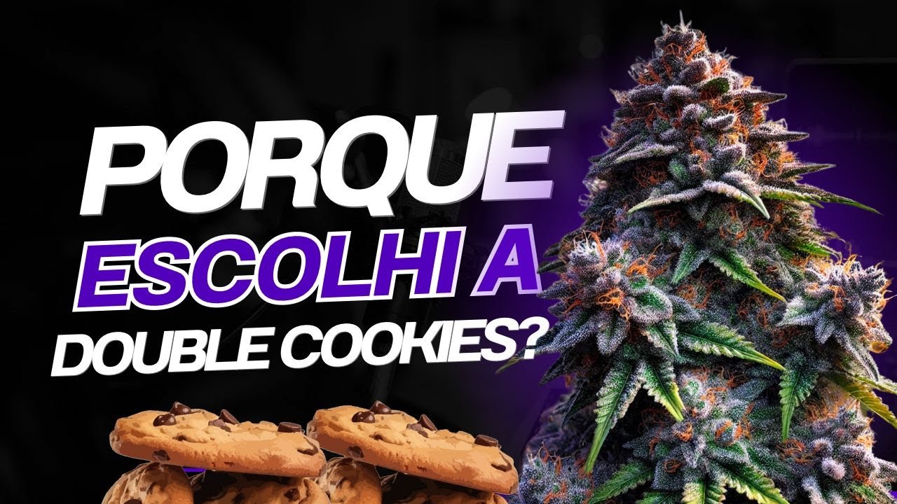 Double Cookie Strainterms Of Use