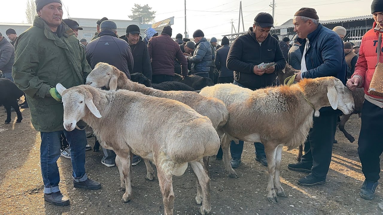 Mushukdagi sharf hiylasi Yalangoch Natalya Poklonskayaning senzurasiz fotosuratlari