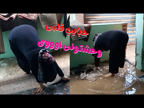 حبايب قلبى وحشتونى روتين النهارده غسيل السجاد