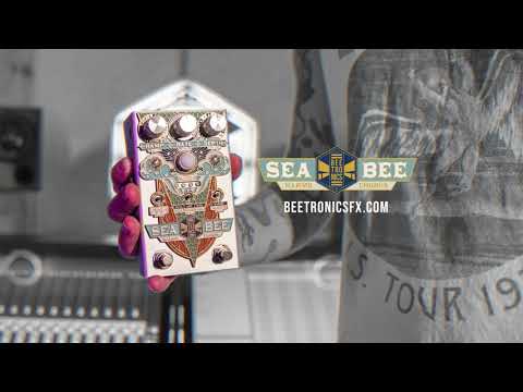 Seabee Harmochorus - The Hive Studios Session