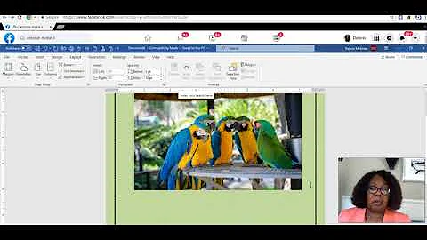 Creating a Flyer