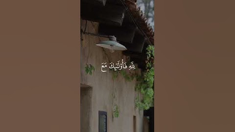 إن المنافقين في الدرك الأسفل من النار القارئ محمد أيوب