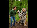 #tiger #cuteanimals #funny #shorts #shortvideo #wildlife