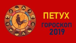 Петух в год Свиньи. Восточный гороскоп на 2019 год Петух в год Свиньи. Восточный гороскоп на 2019 год