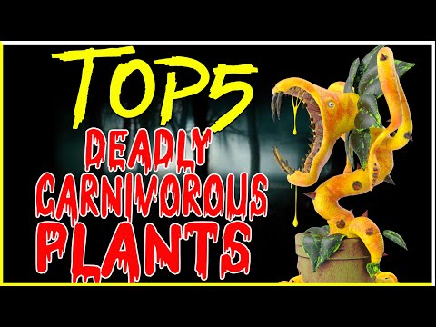 TOP 5 Deadly Carnivorous Plants (Multilingual Subtitles)