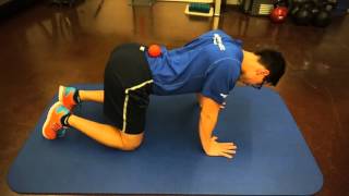 Quadruped Scapular Controlled Articular Rotations