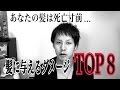 髪にダメージが強いものランキングTOP8!